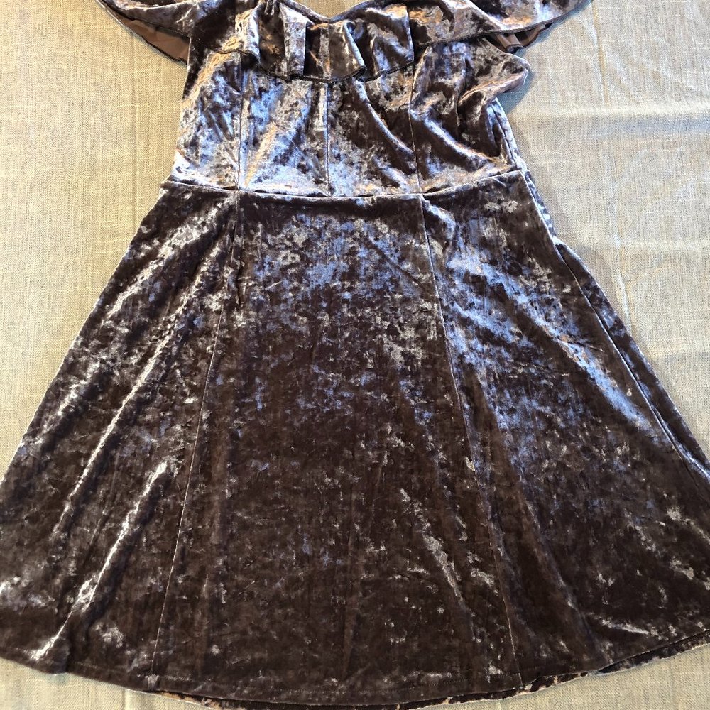 American Eagle Crushed Velvet Dress - Picture 2 of 9